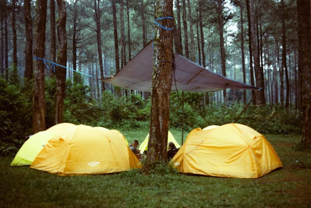 Bikepacking Zelt Tarp