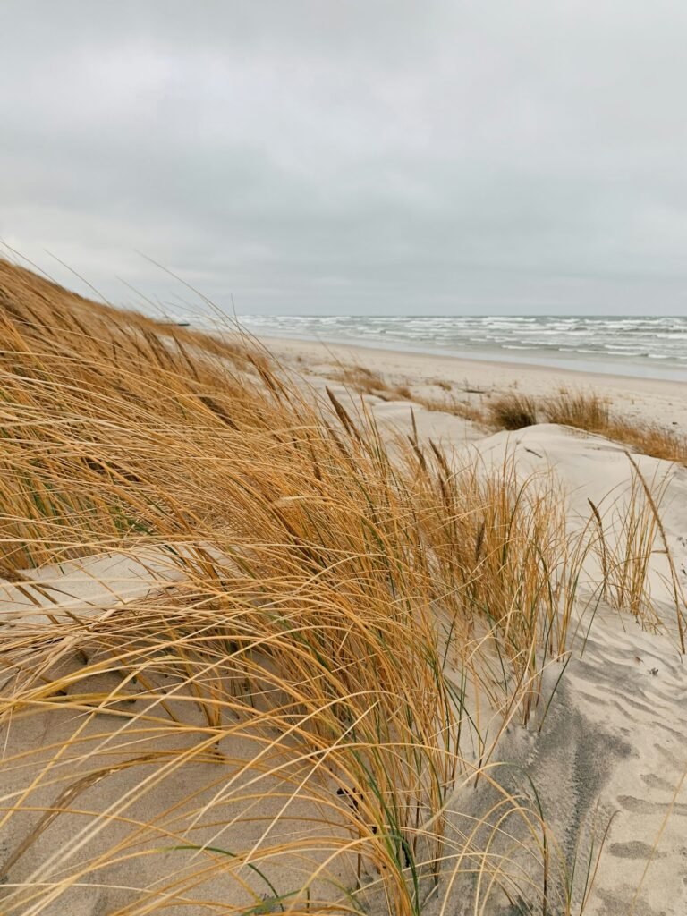 Bikepacking an der Ostsee